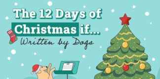 12 Days of Christmas: Dog-inspired Edition on Dogster 12-days-of-christmas-dog-inspired-edition-on-dogster