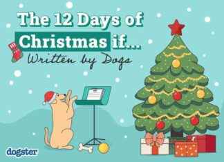 12 Days of Christmas: Dog-inspired Edition on Dogster 12-days-of-christmas-dog-inspired-edition-on-dogster