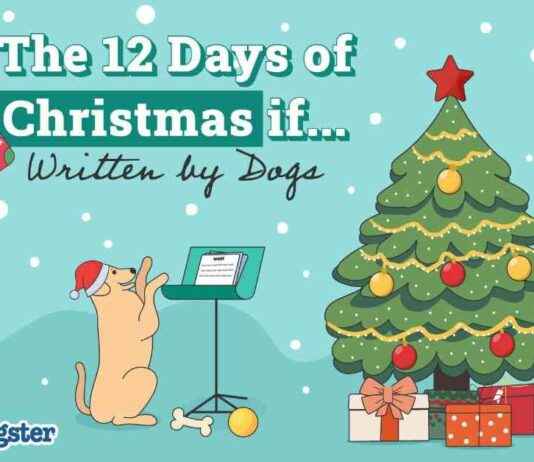 12 Days of Christmas: Dog-inspired Edition on Dogster 12-days-of-christmas-dog-inspired-edition-on-dogster