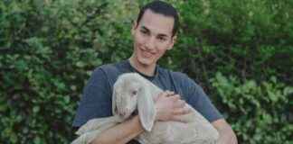 6 Steps to Volunteer and Help Animals Today 6-steps-to-volunteer-and-help-animals-today