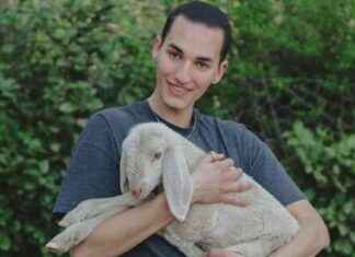 6 Steps to Volunteer and Help Animals Today 6-steps-to-volunteer-and-help-animals-today