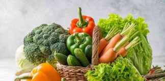 Are Vegetables Safe for Dogs? Vet-Verified Nutrition Facts, Benefits & Options are-vegetables-safe-for-dogs-vet-verified-nutrition-facts-benefits-options