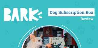 BarkBox Subscription Review 2024: Keeping Your Dog Excited Month After Month barkbox-subscription-review-2024-keeping-your-dog-excited-month-after-month