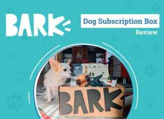 BarkBox Subscription Review 2024: Keeping Your Dog Excited Month After Month barkbox-subscription-review-2024-keeping-your-dog-excited-month-after-month