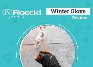 Best Winter Gloves Review 2024: Stylish & Warm Hands for Dog Walking – Dogster best-winter-gloves-review-2024-stylish-warm-hands-for-dog-walking-dogster