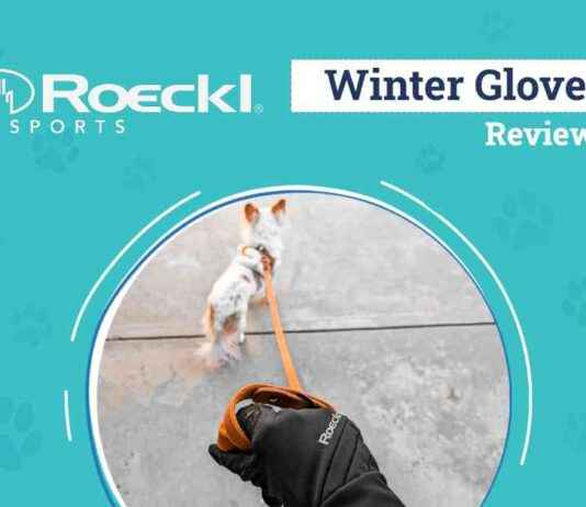 Best Winter Gloves Review 2024: Stylish & Warm Hands for Dog Walking – Dogster best-winter-gloves-review-2024-stylish-warm-hands-for-dog-walking-dogster