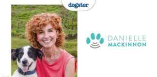Communicate with Your Dog: Join Danielle MacKinnon’s Masterclass communicate-with-your-dog-join-danielle-mackinnons-masterclass