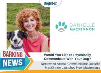Communicate with Your Dog: Join Danielle MacKinnon’s Masterclass communicate-with-your-dog-join-danielle-mackinnons-masterclass