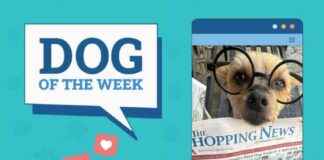 Dogster Photo Contest: Meet the Dogs of the Week Winners for December 5, 2024 dogster-photo-contest-meet-the-dogs-of-the-week-winners-for-december-5-2024