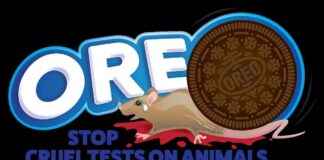 End Animal Cruelty: Oreo Maker Urged to Stop Feces-Feeding and Slicing Open – Take Action Now! end-animal-cruelty-oreo-maker-urged-to-stop-feces-feeding-and-slicing-open-take-action-now