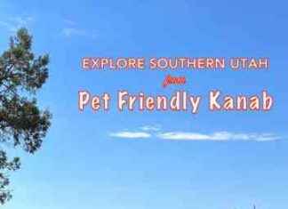 Explore Pet-Friendly Kanab: 7 National Parks, Forests & Monuments to Visit explore-pet-friendly-kanab-7-national-parks-forests-monuments-to-visit