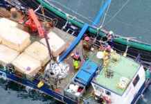 Exposing Abuse on Salmon Farms: Insights from Animal Equality exposing-abuse-on-salmon-farms-nsights-from-animal-equality