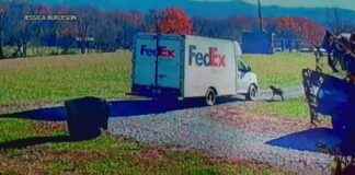 Family Seeks Justice After Dog is Hit by FedEx Truck family-seeks-justice-after-dog-is-hit-by-fedex-truck