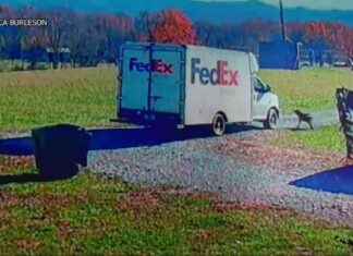 Family Seeks Justice After Dog is Hit by FedEx Truck family-seeks-justice-after-dog-is-hit-by-fedex-truck