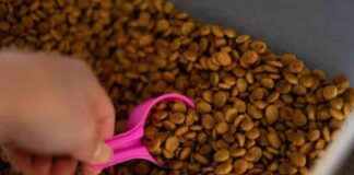 FDA Warns Mid America Pet Food LLC for Salmonella Contamination in Dog Foods fda-warns-mid-america-pet-food-llc-for-salmonella-contamination-in-dog-foods