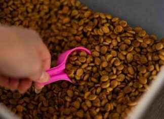 FDA Warns Mid America Pet Food LLC for Salmonella Contamination in Dog Foods fda-warns-mid-america-pet-food-llc-for-salmonella-contamination-in-dog-foods