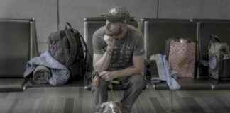 Flying With Pets: 9 Expert Tips for Stress-Free Travel flying-with-pets-9-expert-tips-for-stress-free-travel