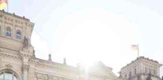 Global Achievements in Animal Welfare: Celebrating Success Together global-achievements-in-animal-welfare-celebrating-success-together