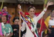 Mexico’s President Enacts Constitutional Reform to Safeguard Animals mexicos-president-enacts-constitutional-reform-to-safeguard-animals