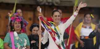 Mexico’s President Enacts Constitutional Reform to Safeguard Animals mexicos-president-enacts-constitutional-reform-to-safeguard-animals