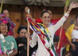 Mexico’s President Enacts Constitutional Reform to Safeguard Animals mexicos-president-enacts-constitutional-reform-to-safeguard-animals