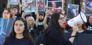 New Title: Guide to Animal Welfare Laws in Mexico: Key Points and Updates new-title-guide-to-animal-welfare-laws-in-mexico-key-points-and-updates