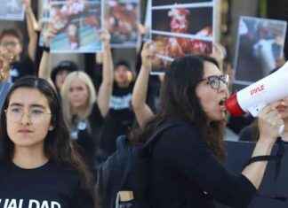 New Title: Guide to Animal Welfare Laws in Mexico: Key Points and Updates new-title-guide-to-animal-welfare-laws-in-mexico-key-points-and-updates