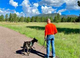 Pet Friendly Flagstaff: Activities, Accommodations, and Dining for Your Furry Friends pet-friendly-flagstaff-activities-accommodations-and-dining-for-your-furry-friends