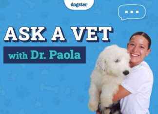 Pet Health Q&A with Dr. Paola: December 30, 2024 – Dogster’s Concerns pet-health-qa-with-dr-paola-december-30-2024-dogsters-concerns