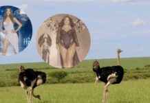 PETA Awards Company of the Year 2024: The Secret Revealed peta-awards-company-of-the-year-2024-the-secret-revealed