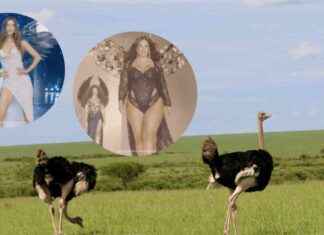 PETA Awards Company of the Year 2024: The Secret Revealed peta-awards-company-of-the-year-2024-the-secret-revealed