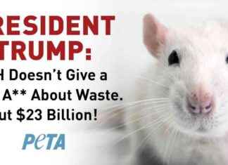PETA Urges President-Elect Trump to Cut $23 Billion from NIH Budget peta-urges-president-elect-trump-to-cut-23-billion-from-nh-budget
