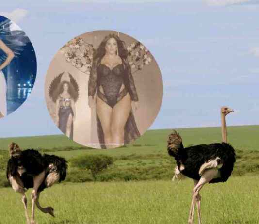 PETA’s 2024 Company of the Year Revealed: The Secret Is Out! petas-2024-company-of-the-year-revealed-the-secret-s-out