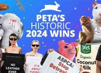 PETA’s Top 2024 Victories: A Year in Review petas-top-2024-victories-a-year-in-review