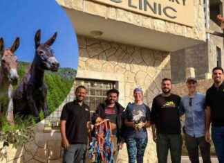 Petra Veterinary Clinic: Global Compassion Funded Facility Improving Animal Welfare petra-veterinary-clinic-global-compassion-funded-facility-mproving-animal-welfare