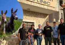 Petra Veterinary Clinic: Global Compassion Funded Haven for Animals petra-veterinary-clinic-global-compassion-funded-haven-for-animals