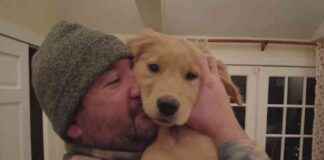 Reunited: Missing Dog Found Near Home Before Christmas Day reunited-missing-dog-found-near-home-before-christmas-day