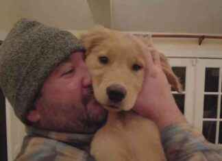 Reunited: Missing Dog Found Near Home Before Christmas Day reunited-missing-dog-found-near-home-before-christmas-day