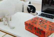 Top 13 Hanukkah Gifts for Dogs and Dog Lovers 2024 top-13-hanukkah-gifts-for-dogs-and-dog-lovers-2024