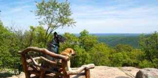 Top 9 Pet-Friendly Trips to Escape Crowds – GoPetFriendly top-9-pet-friendly-trips-to-escape-crowds-gopetfriendly