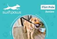 Ultimate SwiftPaws Flirt Pole Review 2024: Exercise Your Pup with the Best Dog Toy ultimate-swiftpaws-flirt-pole-review-2024-exercise-your-pup-with-the-best-dog-toy