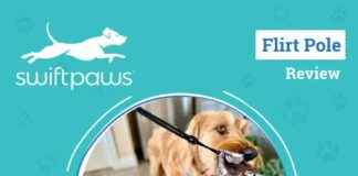 Ultimate SwiftPaws Flirt Pole Review 2024: Exercise Your Pup with the Best Dog Toy ultimate-swiftpaws-flirt-pole-review-2024-exercise-your-pup-with-the-best-dog-toy