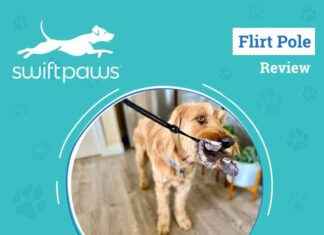 Ultimate SwiftPaws Flirt Pole Review 2024: Exercise Your Pup with the Best Dog Toy ultimate-swiftpaws-flirt-pole-review-2024-exercise-your-pup-with-the-best-dog-toy