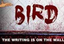 Warning: Spike in Bird Flu Cases Prompts PETA Alert warning-spike-in-bird-flu-cases-prompts-peta-alert