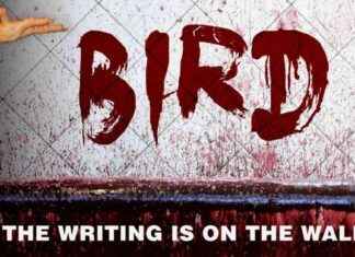 Warning: Spike in Bird Flu Cases Prompts PETA Alert warning-spike-in-bird-flu-cases-prompts-peta-alert