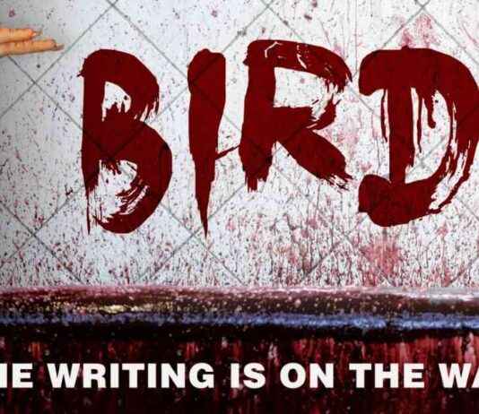Warning: Spike in Bird Flu Cases Prompts PETA Alert warning-spike-in-bird-flu-cases-prompts-peta-alert