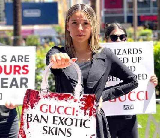 Week of Action: Exotic Skins Protest Photos by PETA week-of-action-exotic-skins-protest-photos-by-peta