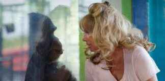 What Happened to Tonia Haddix, the ‘Chimp Crazy’ Villain? | PETA Update what-happened-to-tonia-haddix-the-chimp-crazy-villain-peta-update