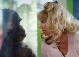 What’s Next for ‘Chimp Crazy’ Villain Tonia Haddix? – PETA Update whats-next-for-chimp-crazy-villain-tonia-haddix-peta-update