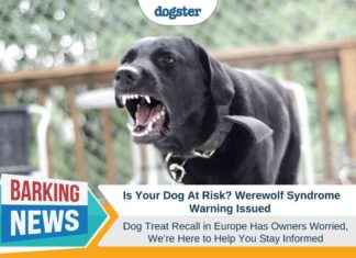Dogster: Werewolf Syndrome Warning After Treat Recall in Europe dogster-werewolf-syndrome-warning-after-treat-recall-in-europe